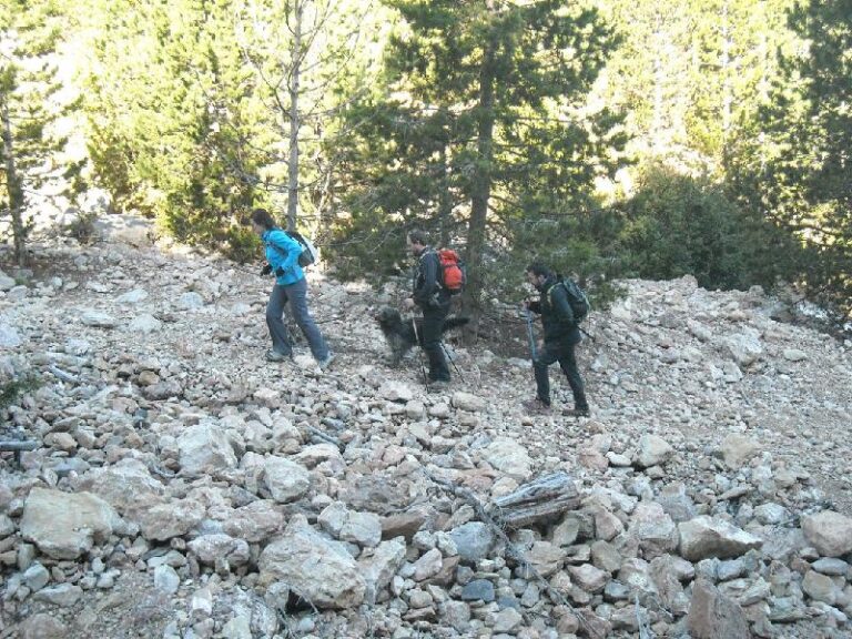 pujada pel torrent
