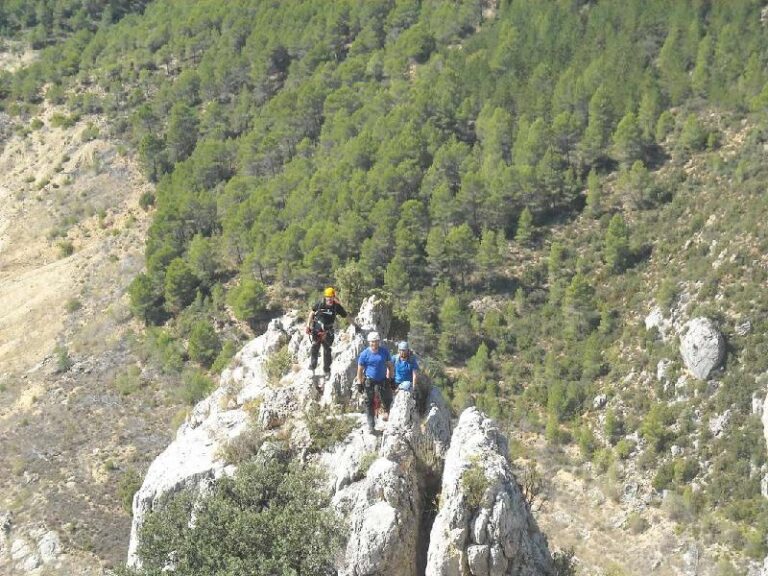 Olmo-Soler
