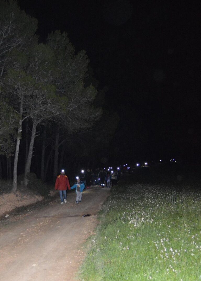 castanyada