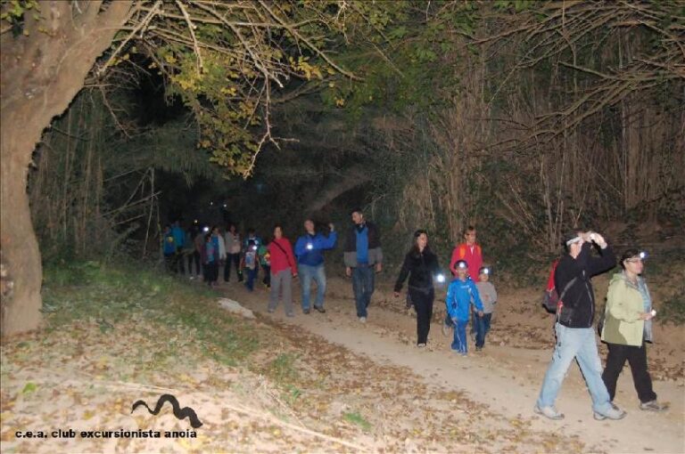 castanyada 2014