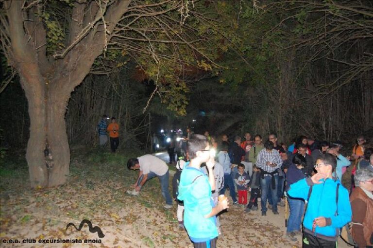 castanyada 2014