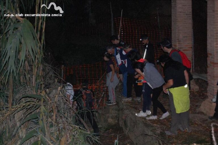 castanyada 2014