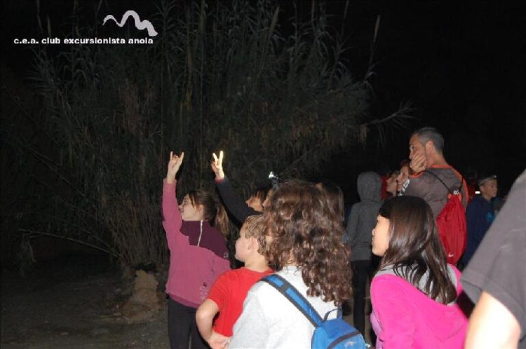 castanyada 2014