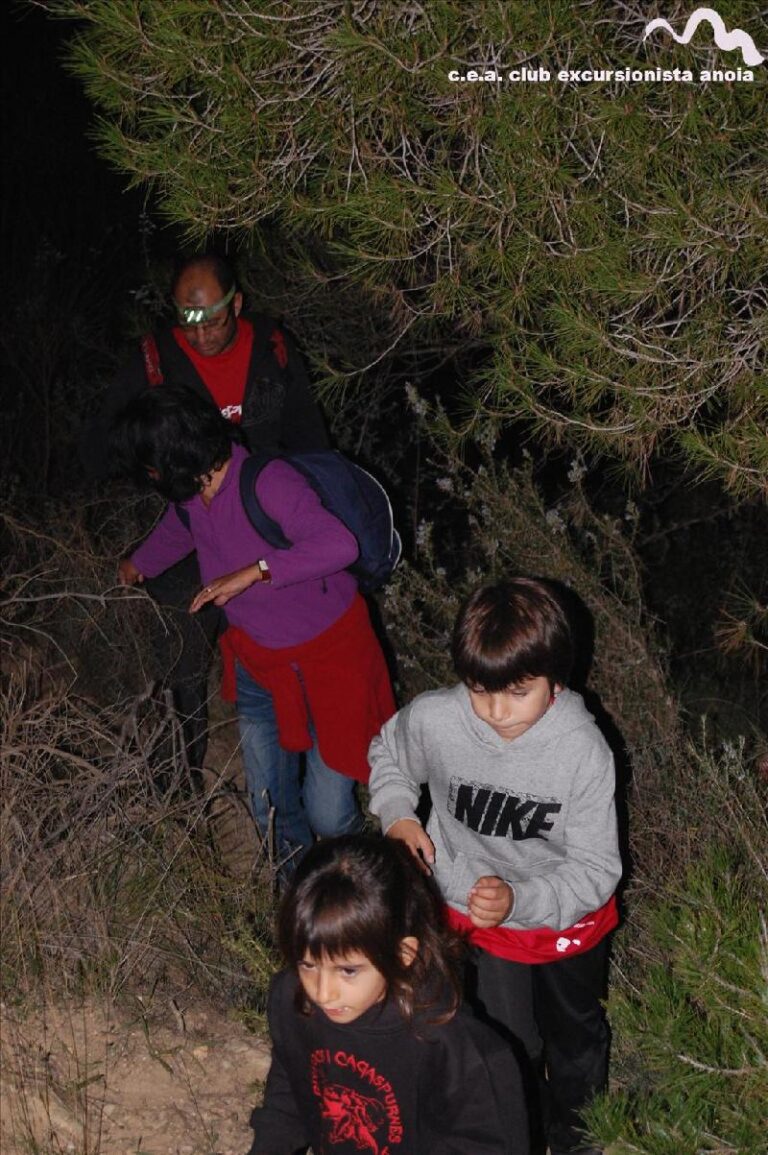 castanyada 2014