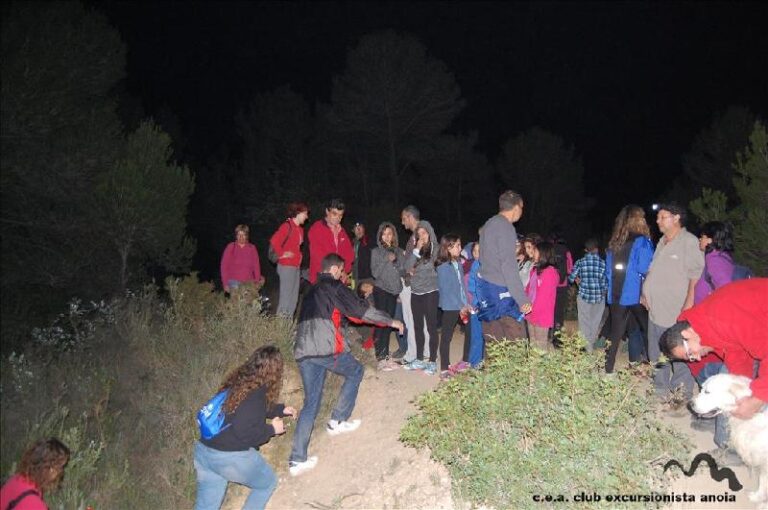castanyada 2014