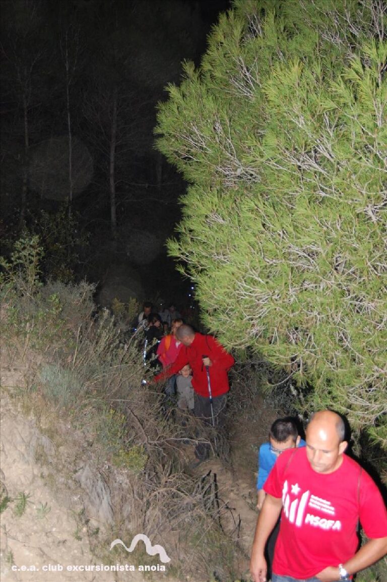castanyada 2014