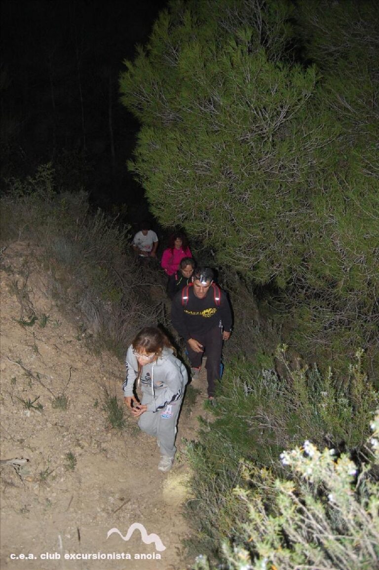 castanyada 2014