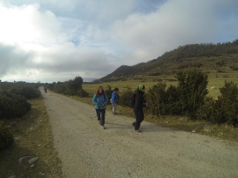 tavertet rupit