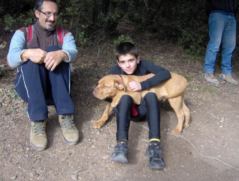 Visitant una cova
