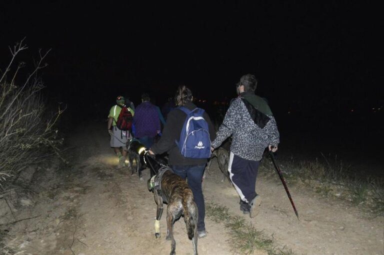 castanyada 16