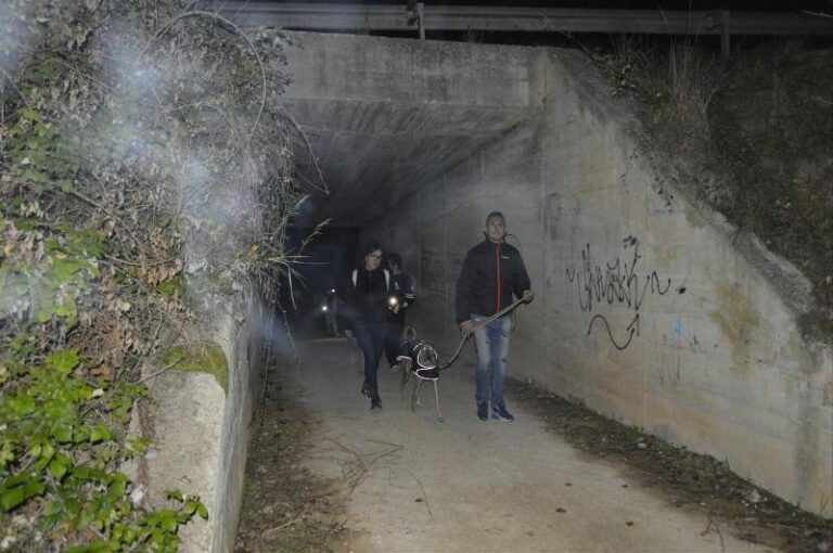 castanyada 16