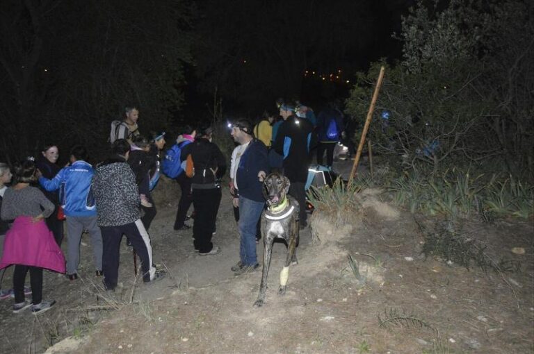 castanyada 16