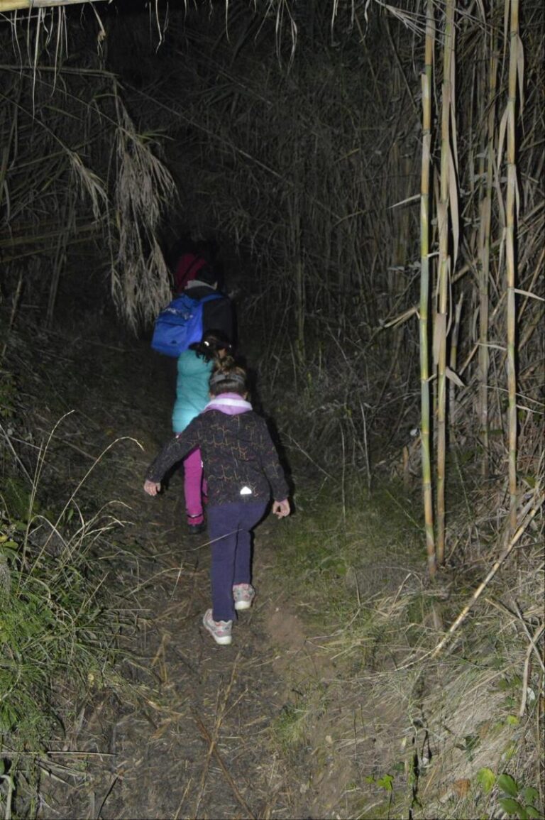 castanyada 16