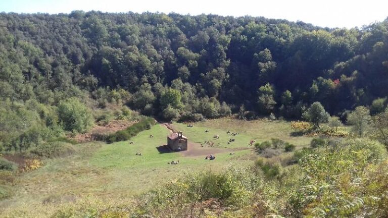 volcans