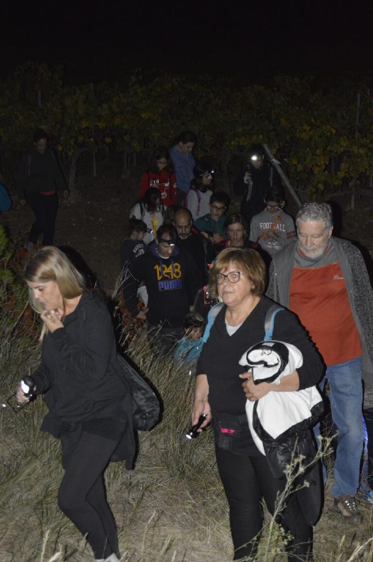 castanyada