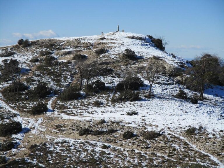 roca corbatera