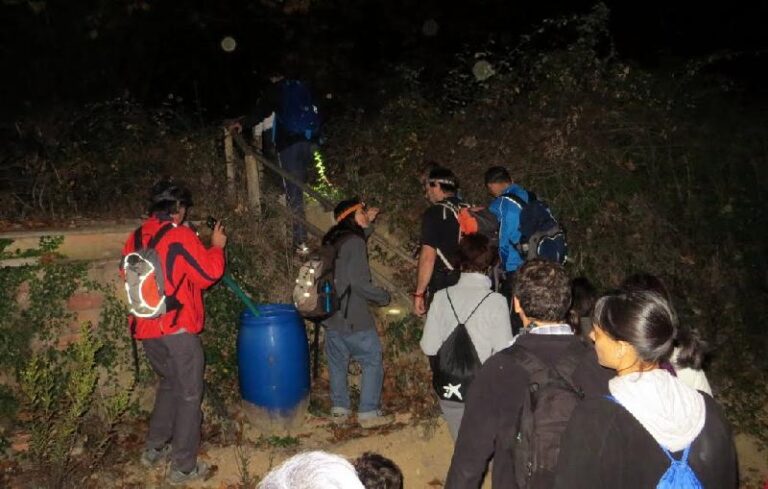 castanyada 15