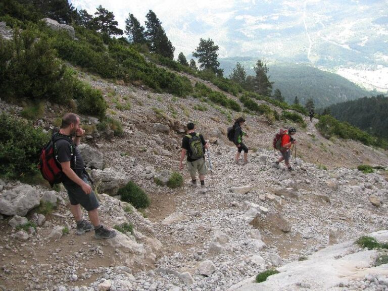 baixant per la tartera