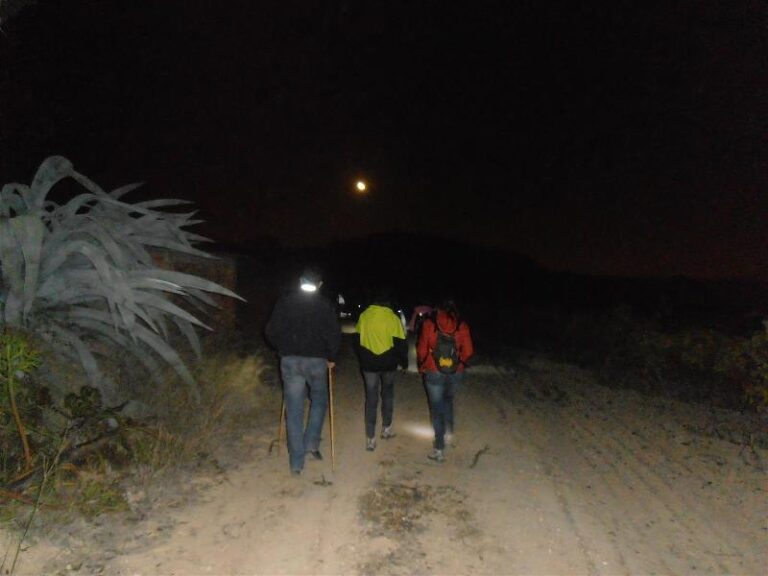 castanyada 15