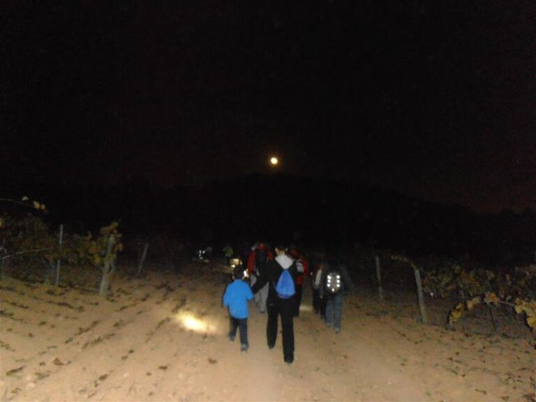 castanyada 15