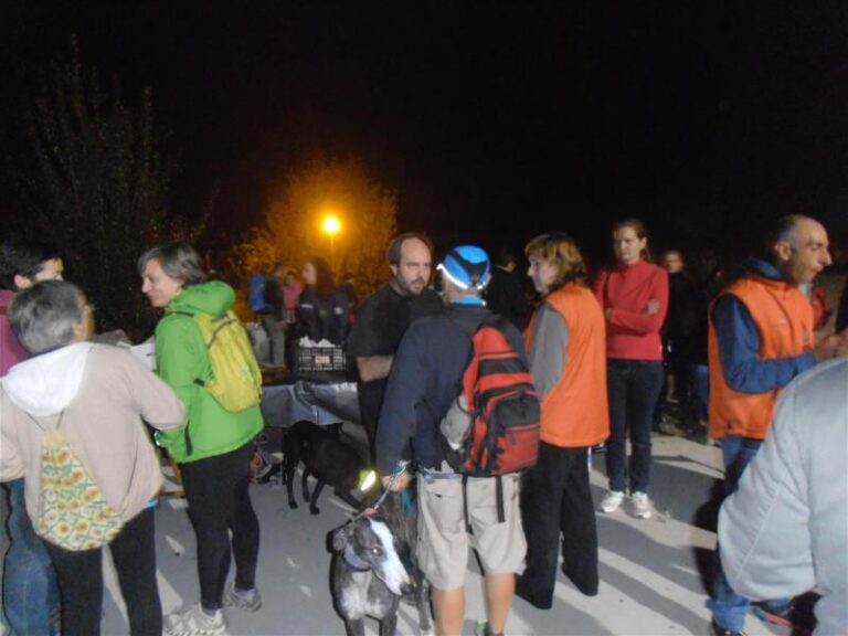 castanyada 15