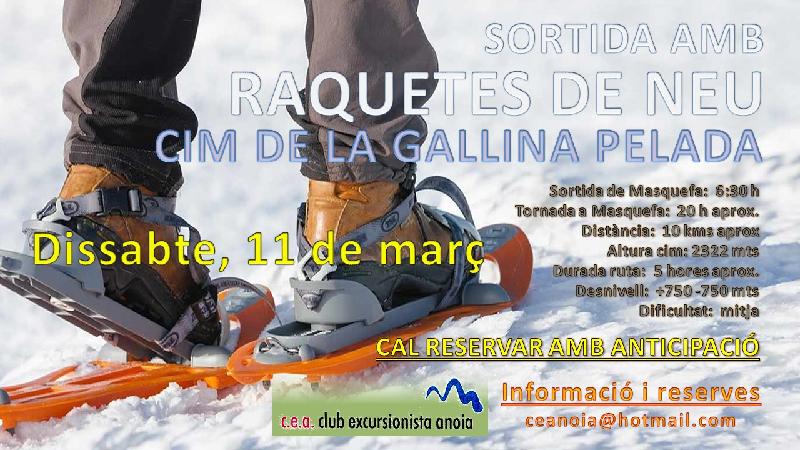 cartell