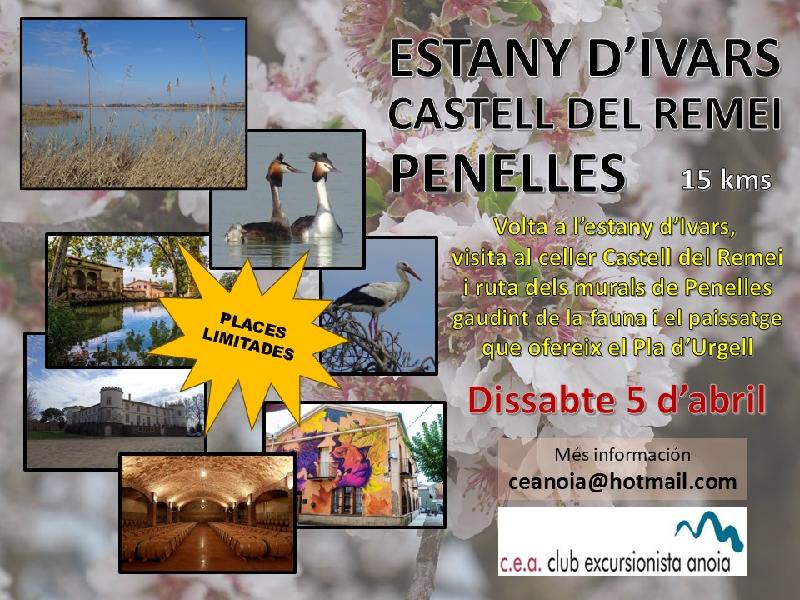 cartell