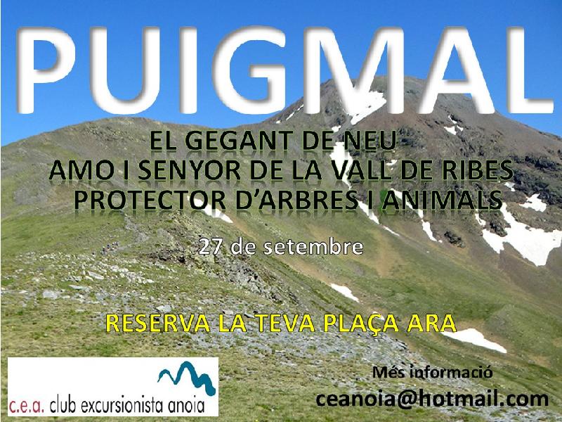 cartell