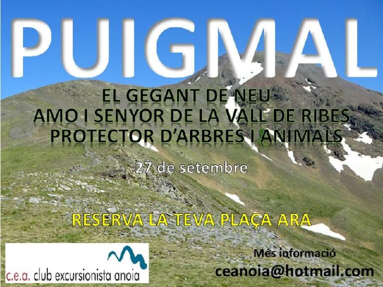 cartell
