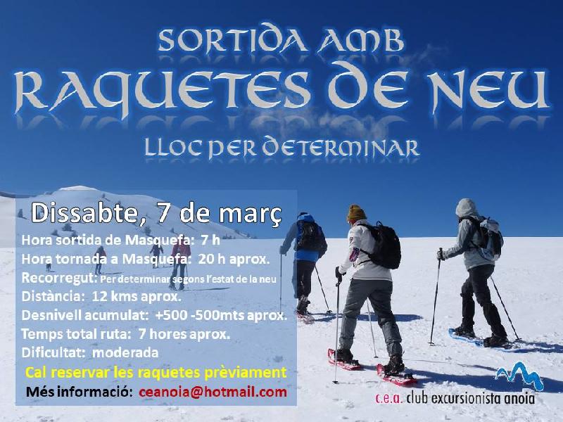 raquetes