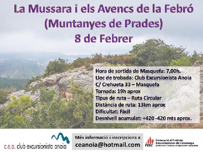 Mussara 25