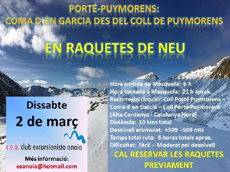Cartell raquetes 2024