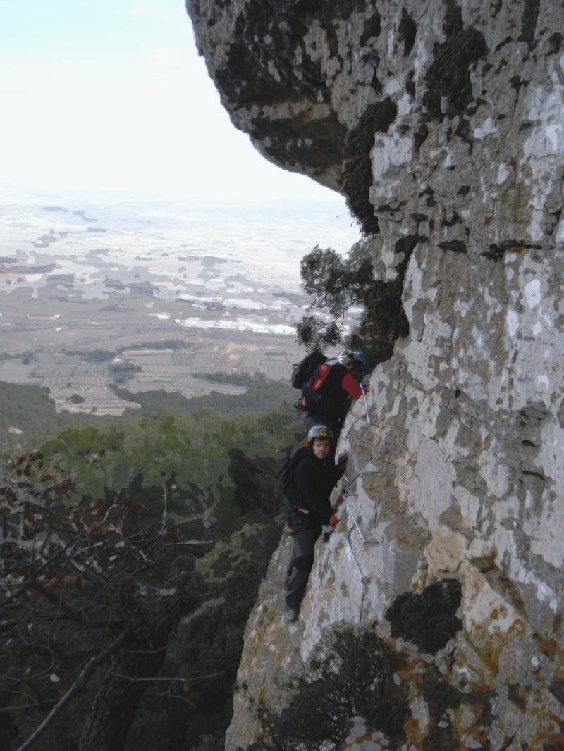 feixa del colom