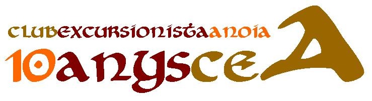 logo.10.anys.CEA