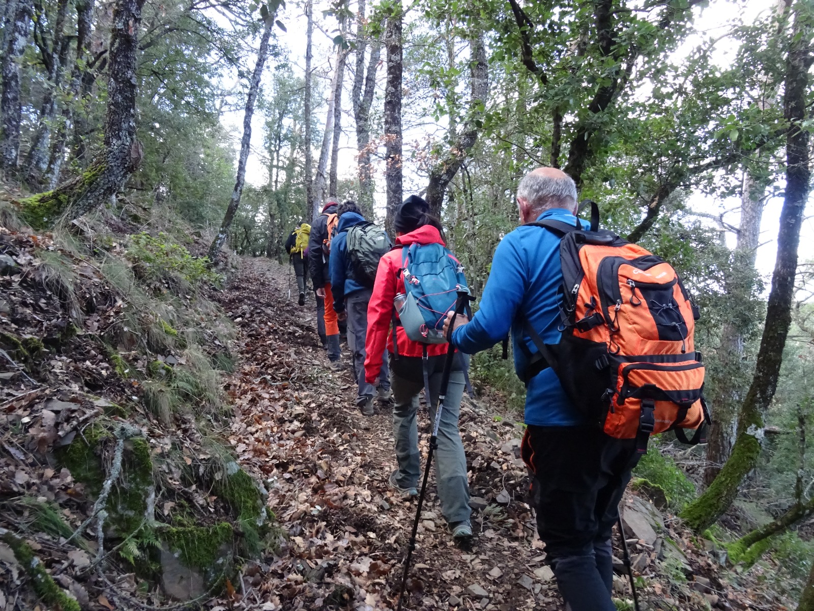 Voltants patrimonials (Sant Llorenç del Munt i l’Obac)