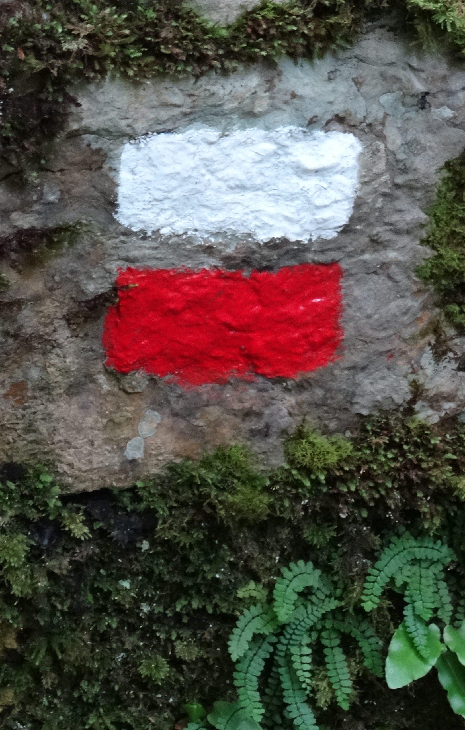 Senderisme i rutes del Club Excursionista Anoia